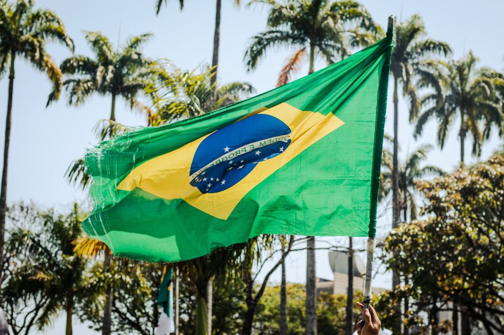 Brazilian Flag
